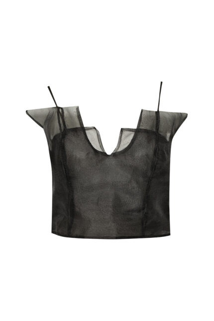 Organza Top
