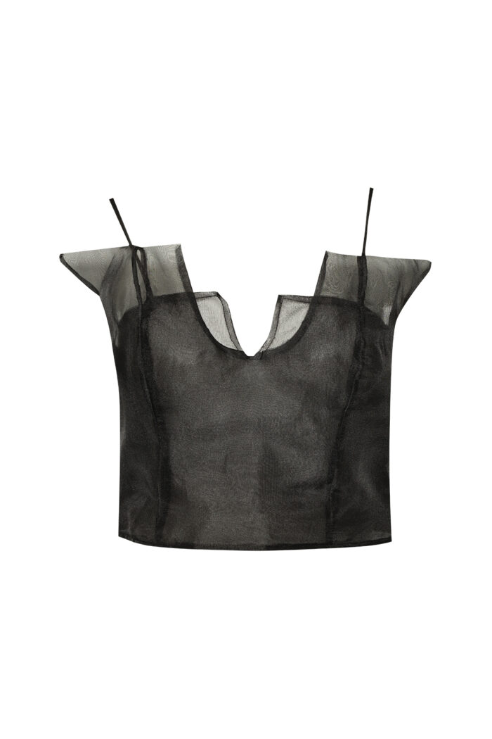 Organza Top - Image 1